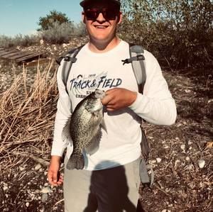 Meet your Posher, Morgan